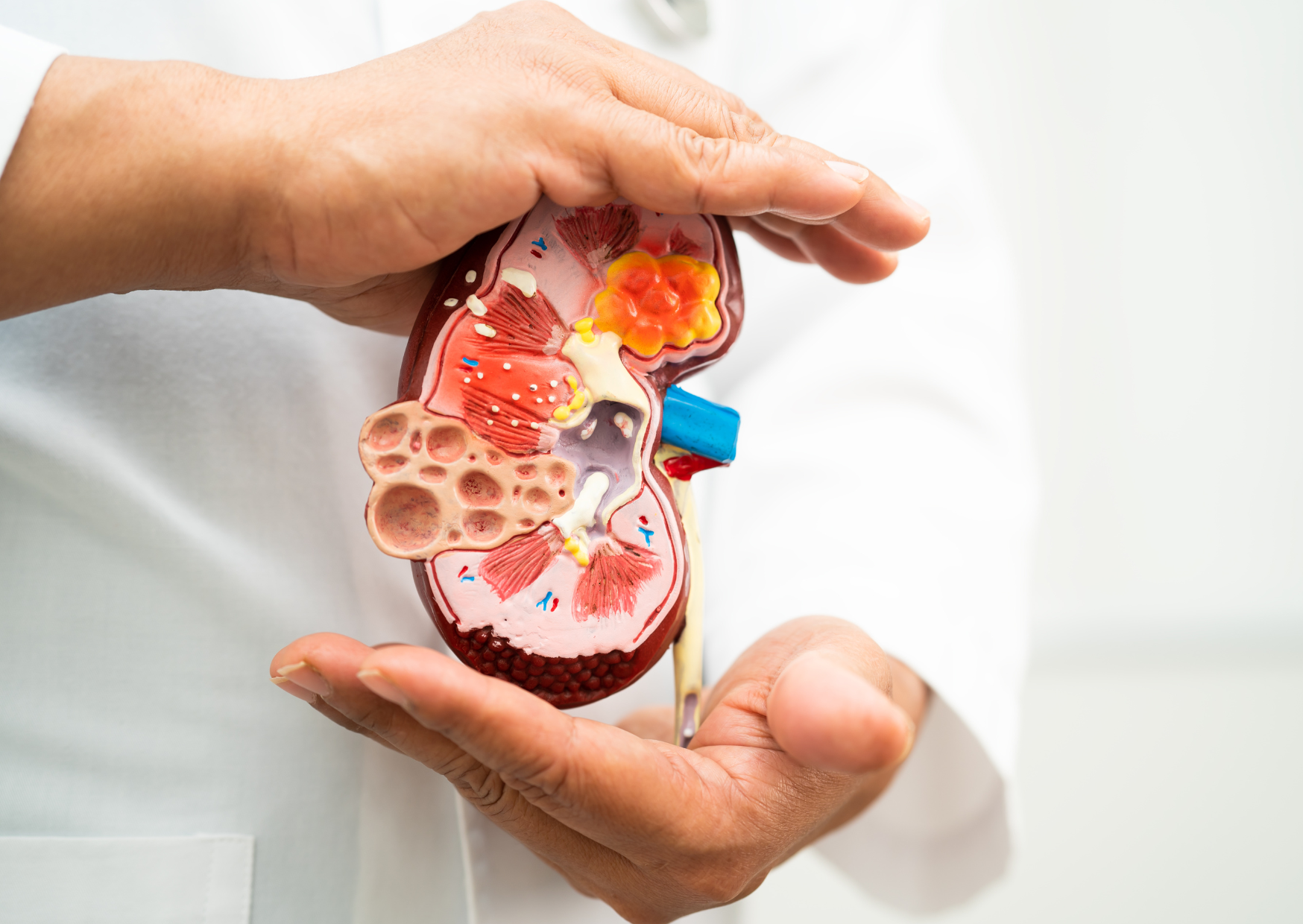 Strava, detoxikace a roční období