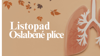 Strava, detoxikace a roční období