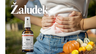 Strava, detoxikace a roční období